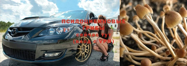 метамфетамин Липки