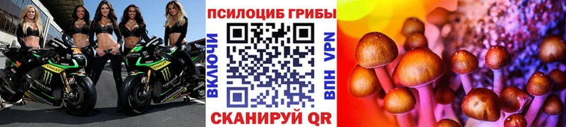 Псилоцибиновые грибы Magic Shrooms Шарья