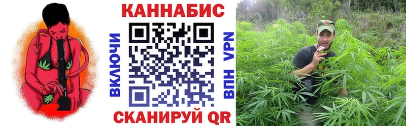 darknet как зайти  Шарья  Марихуана план  ОМГ ОМГ ONION 